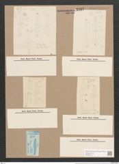 Pleurosigma scalproides Rab. (de-Toni-Nr.: Genus 13, Species 1098) Zeichnungen Sammlung Grunow Nr. 2137 (NHMW-BOT-W0369176)
